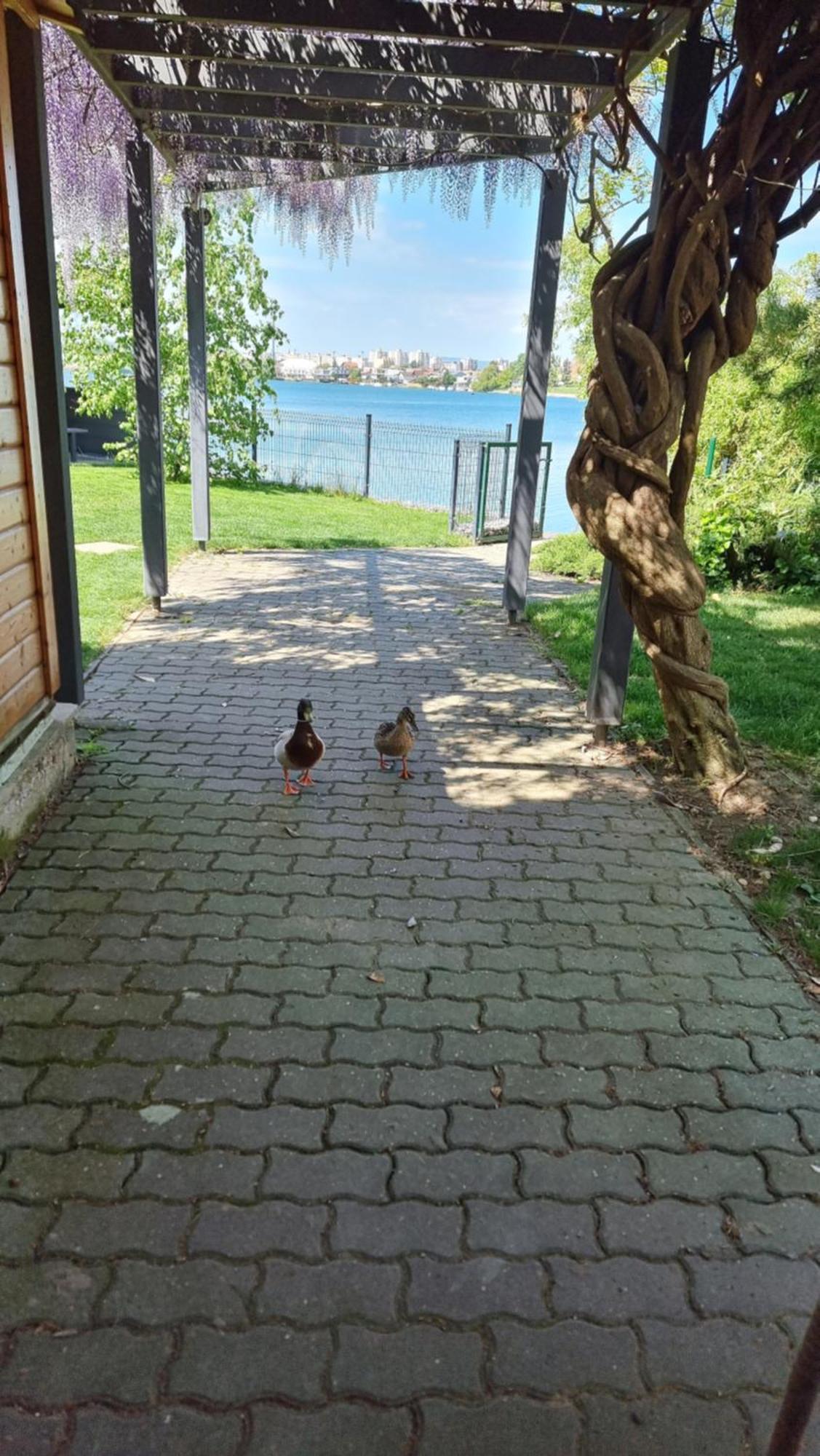 Topsenec-Lakeside Home Bagian luar foto